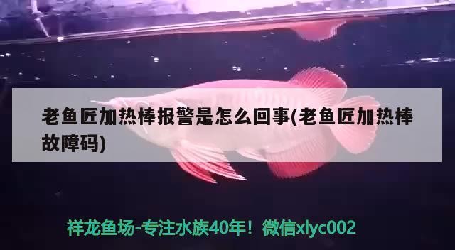 老魚匠加熱棒報警是怎么回事(老魚匠加熱棒故障碼) 老魚匠加熱棒報警是怎么回事(老魚匠加熱棒故障碼) 老魚匠