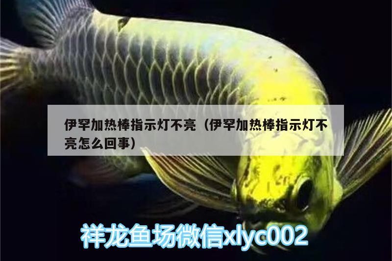伊罕加熱棒指示燈不亮（伊罕加熱棒指示燈不亮怎么回事）