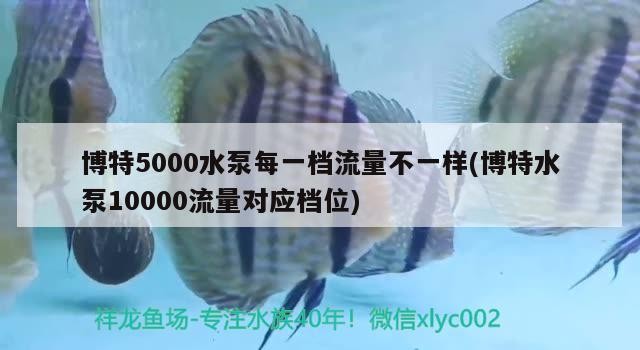 博特5000水泵每一檔流量不一樣(博特水泵10000流量對應檔位)