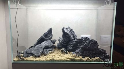 50厘米的魚缸造景：50厘米魚缸造景設計