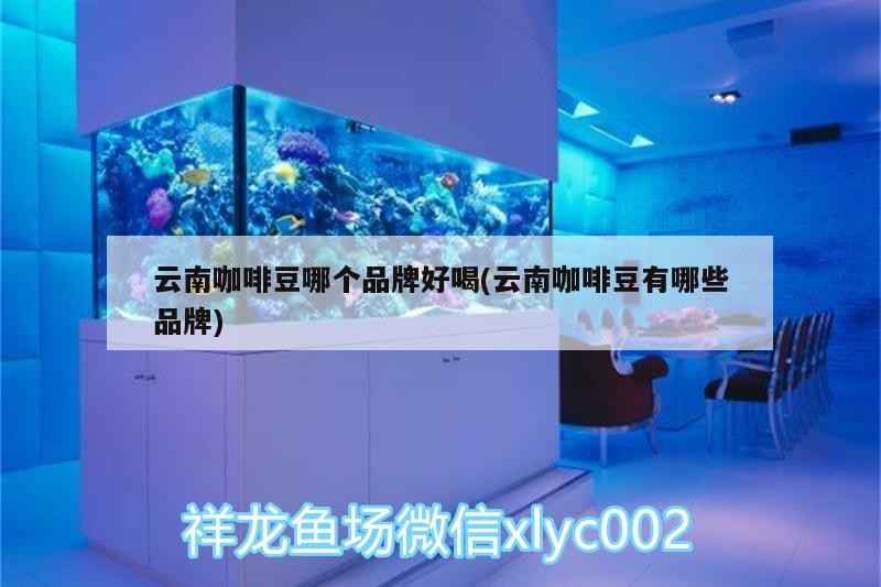 云南咖啡豆哪個品牌好喝(云南咖啡豆有哪些品牌)