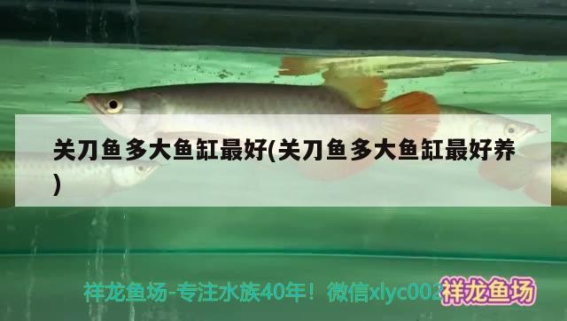 紅山區卞三觀賞魚店