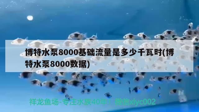 博特水泵8000基礎流量是多少千瓦時(博特水泵8000數據)