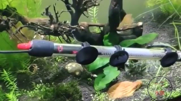 創寧13w變頻水泵開幾檔（創寧13w變頻水泵開幾檔花籃可以動起來）