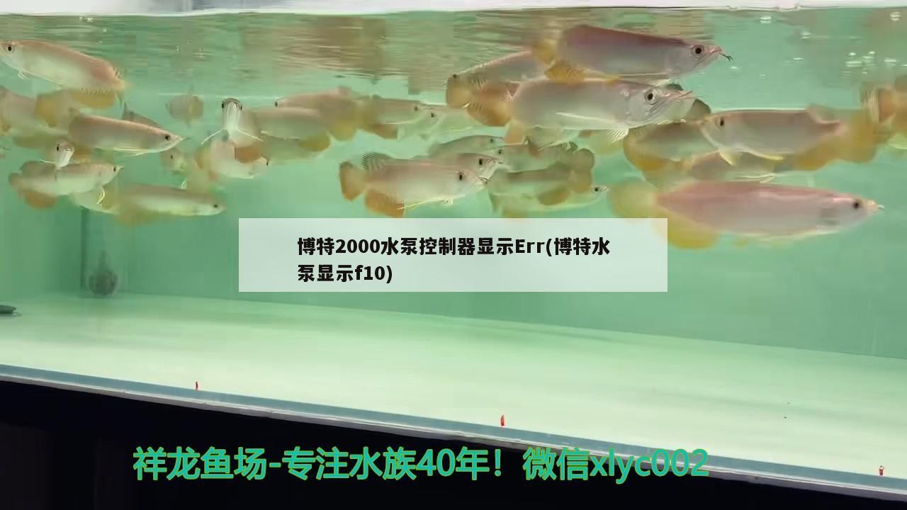 博特2000水泵控制器顯示Err(博特水泵顯示f10)