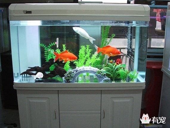 1.8米長0.6米寬0.7米高的魚缸用什么玻璃合適呢：如何自制魚缸自制魚缸需要注意什么