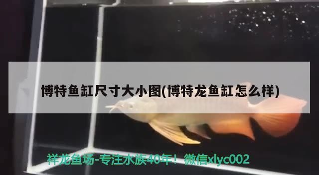 博特魚缸尺寸大小圖(博特龍魚缸怎么樣)