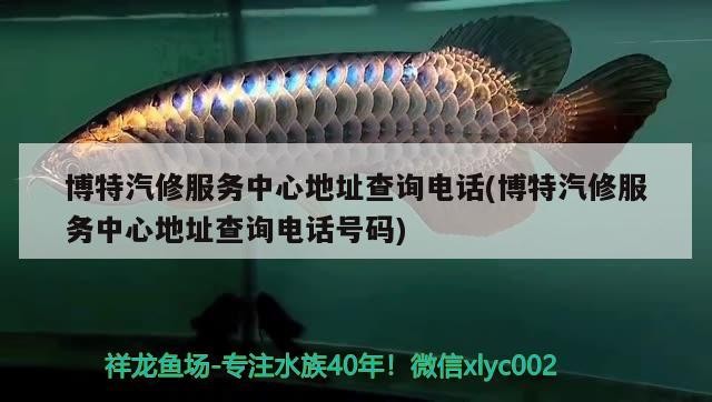 博特汽修服務中心地址查詢電話(博特汽修服務中心地址查詢電話號碼)