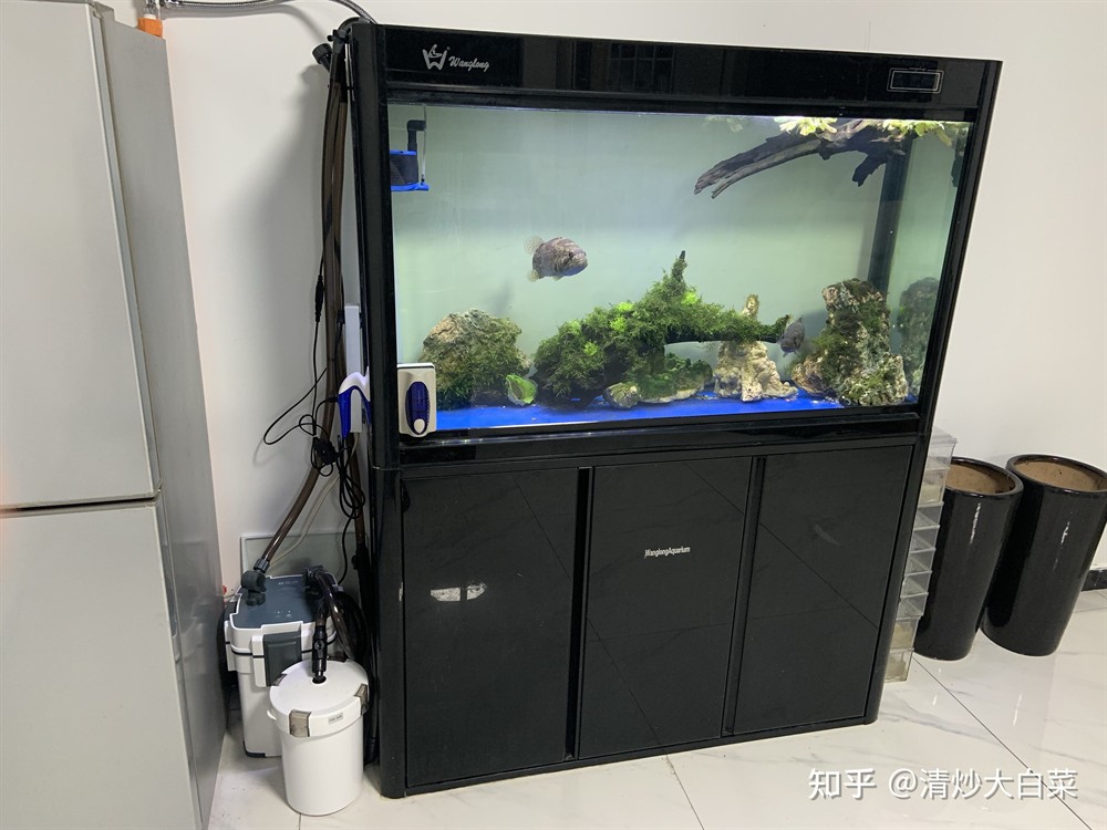 創(chuàng)星cf800和森森前置