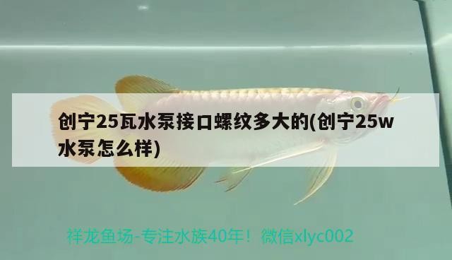 創寧25瓦水泵接口螺紋多大的(創寧25w水泵怎么樣)