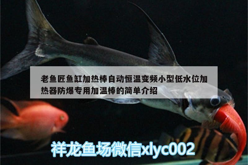 老魚匠魚缸加熱棒自動恒溫變頻小型低水位加熱器防爆專用加溫棒的簡單介紹