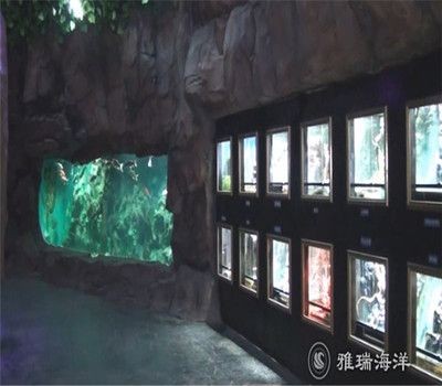 四平水族館vs祥龍魚場（四平水族館與祥龍魚場的區別）