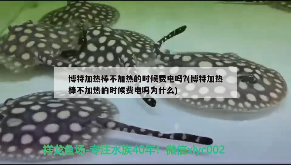 博特加熱棒不加熱的時候費電嗎?(博特加熱棒不加熱的時候費電嗎為什么)