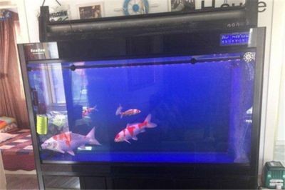 森森魚缸邊框怎么拆