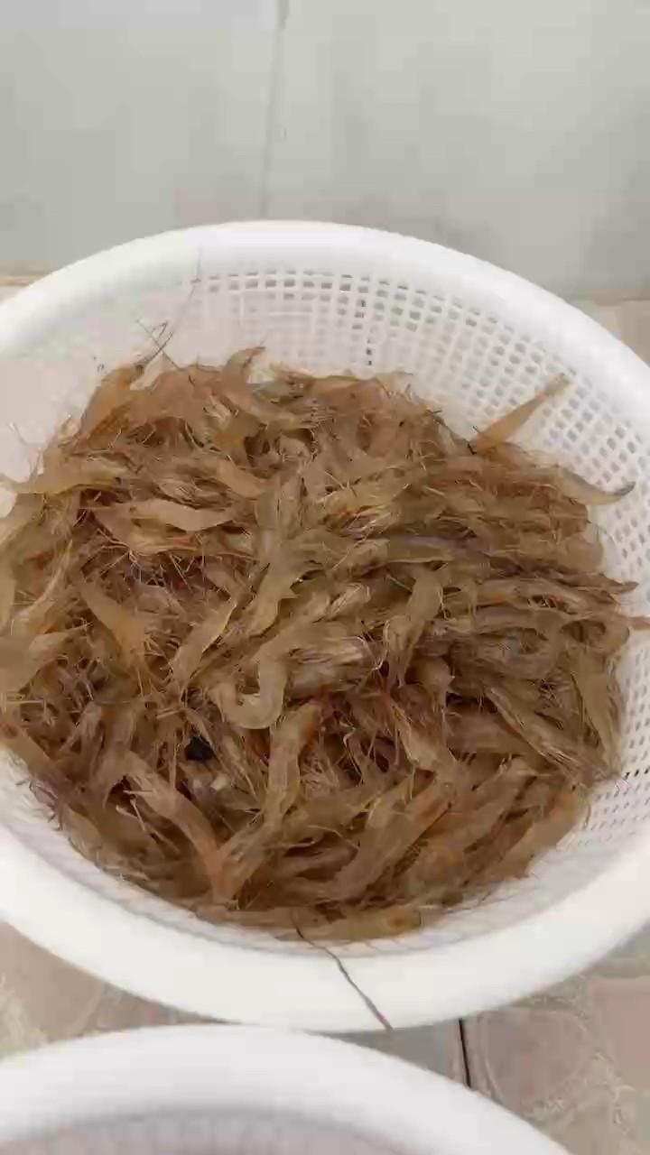 新鮮魚食