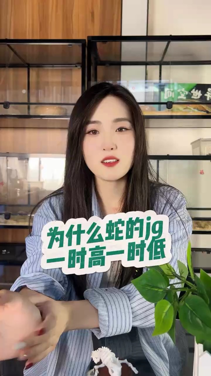 出各種寵物蛇需要的滴