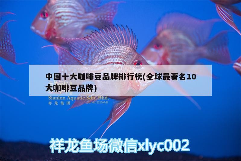 中國十大咖啡豆品牌排行榜(全球最著名10大咖啡豆品牌)