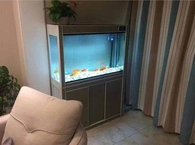 80cm的魚缸用多大尺寸的燈：80cm長度的魚缸燈選擇合適的魚缸燈的選擇和使用途來決定