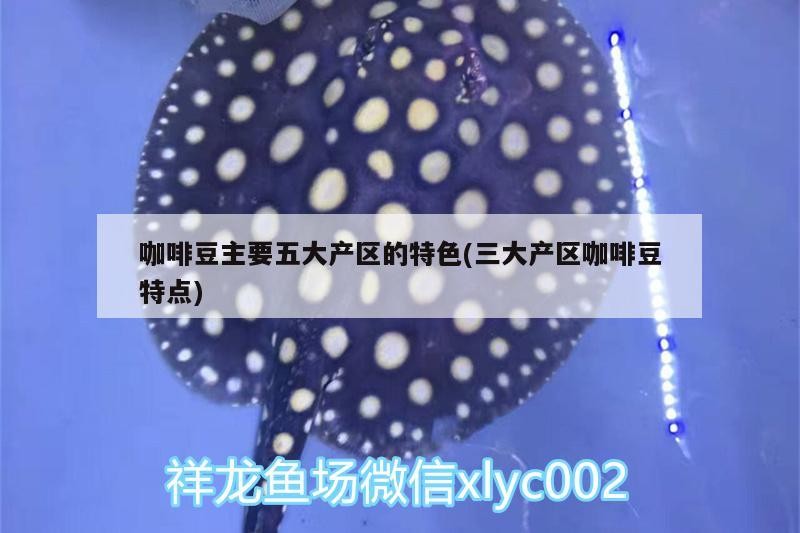 咖啡豆主要五大產區的特色(三大產區咖啡豆特點)