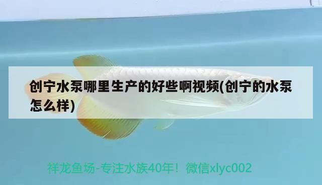 創寧水泵哪里生產的好些啊視頻(創寧的水泵怎么樣)