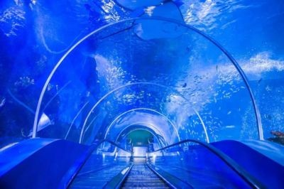 徐州水族館vs祥龍魚場(chǎng)（徐州水族館與祥龍魚場(chǎng)各有特色）