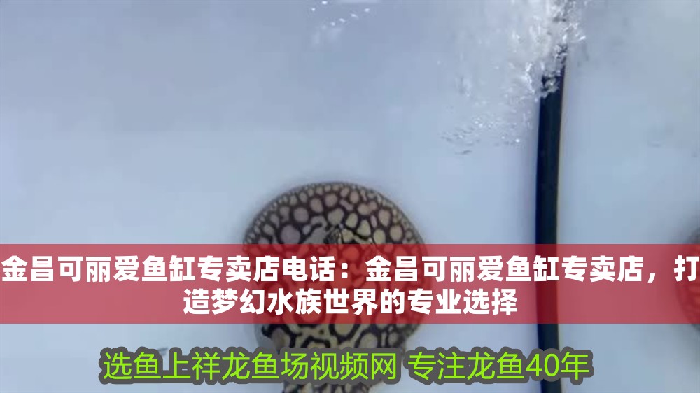 金昌可麗愛魚缸專賣店電話：金昌可麗愛魚缸專賣店，打造夢幻水族世界的專業選擇 金昌可麗愛魚缸專賣店電話：金昌可麗愛魚缸專賣店，打造夢幻水族世界的專業選擇 iwish愛唯希品牌魚缸 第1張