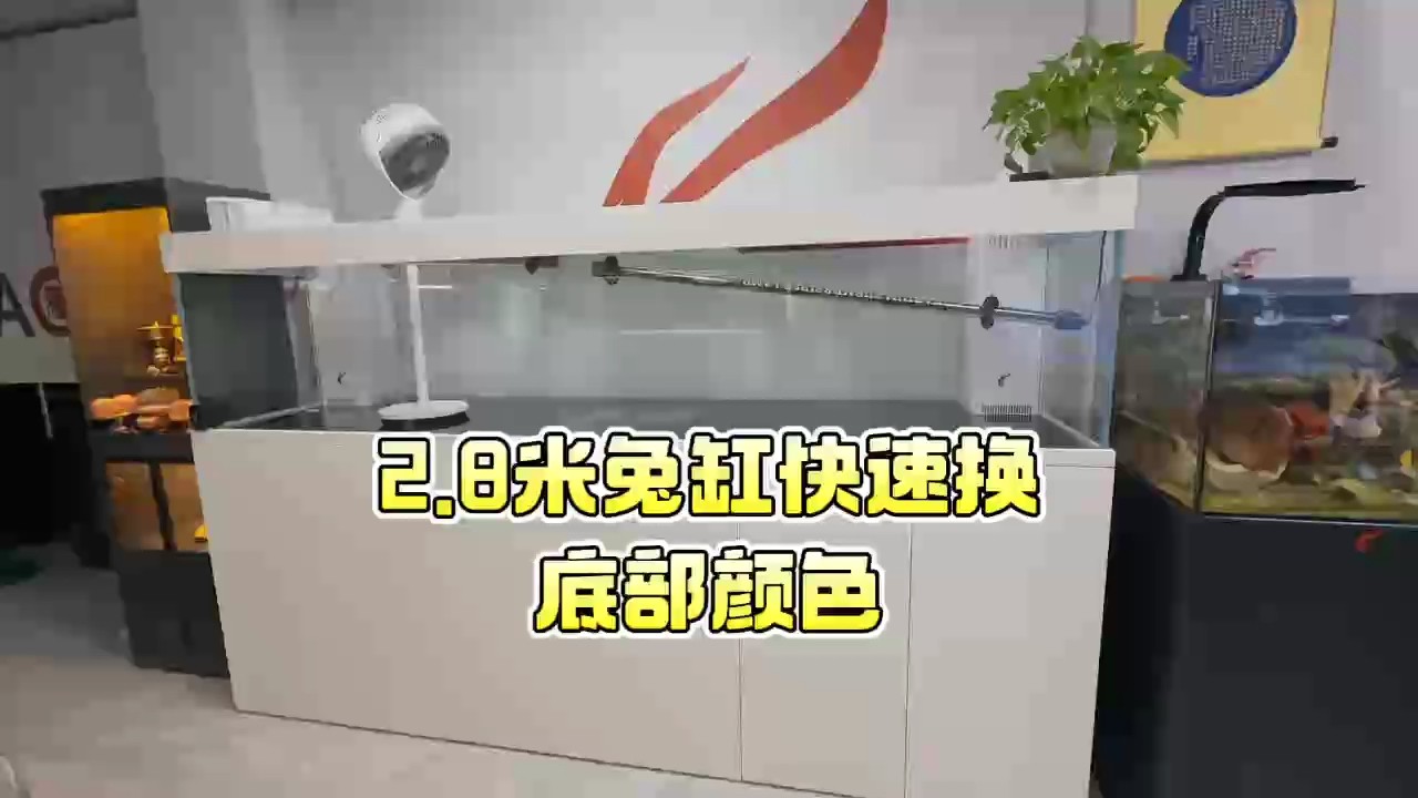 2.8米龍缸快速改底色