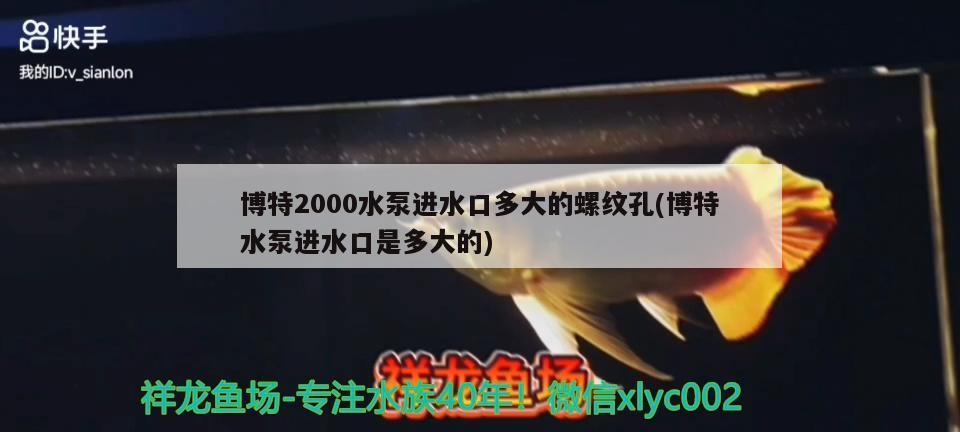 博特2000水泵進水口多大的螺紋孔(博特水泵進水口是多大的) 博特2000水泵進水口多大的螺紋孔(博特水泵進水口是多大的) 博特水族