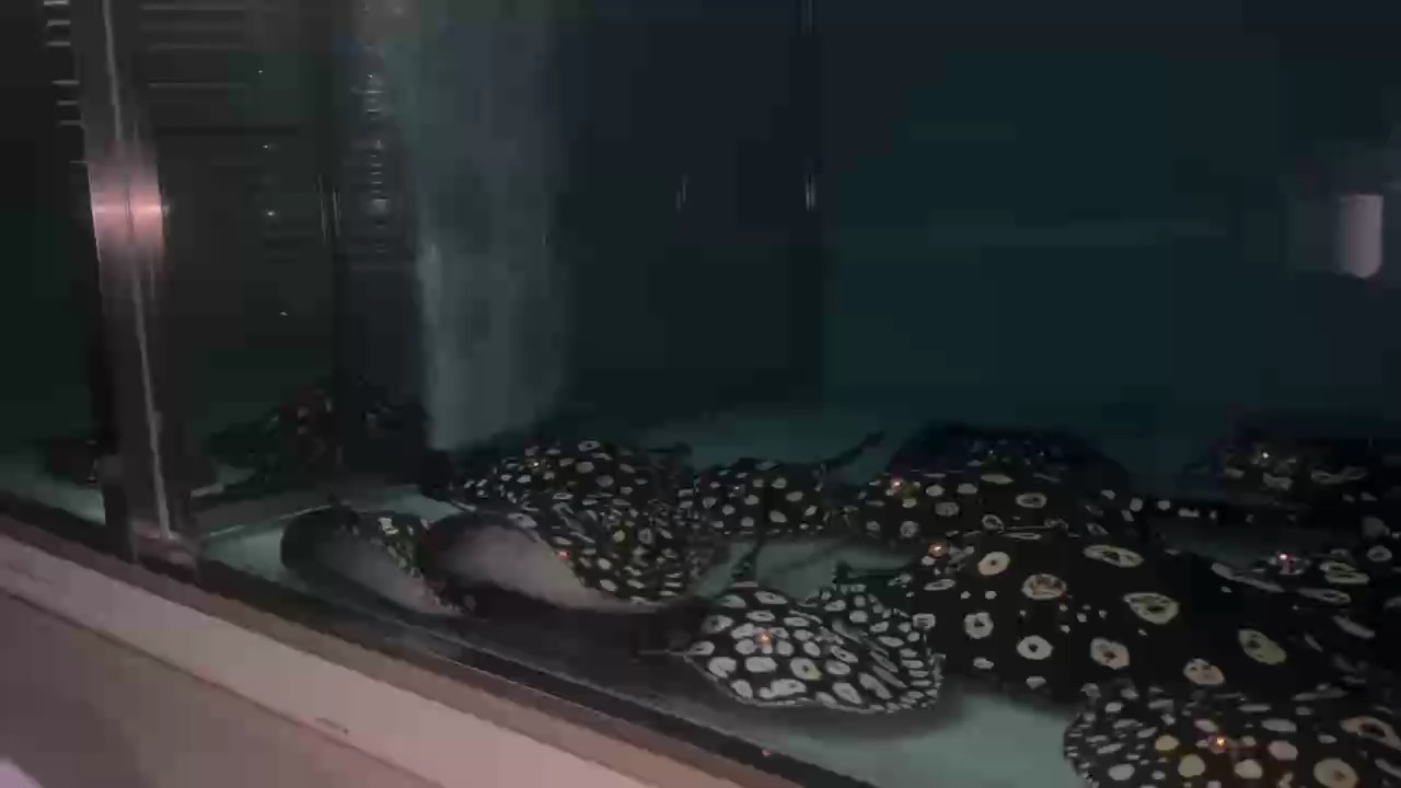 三分鐘完事不拖泥帶水的