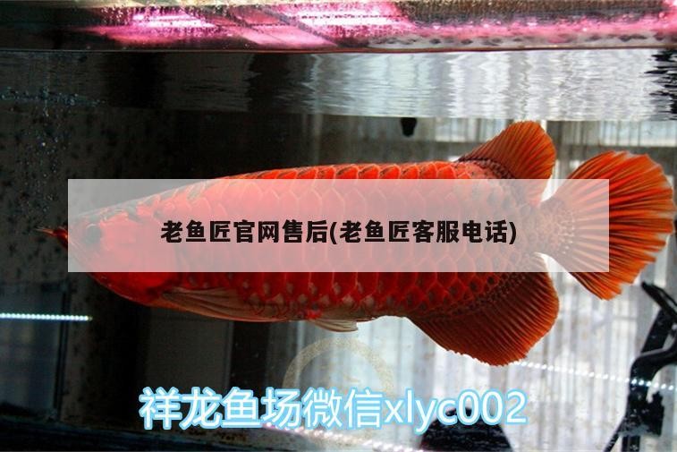 老魚匠官網售后(老魚匠客服電話)
