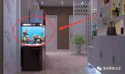 創寧變頻水泵怎么拆下來（創寧變頻水泵怎么拆下來視頻）