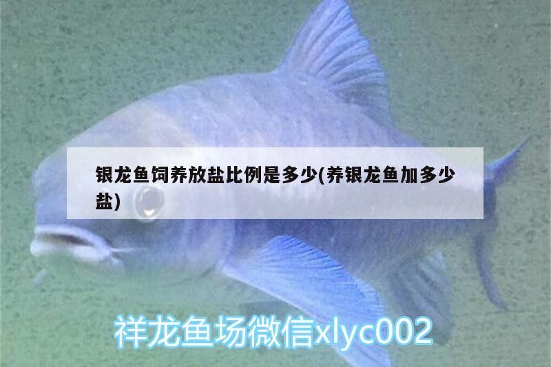 銀龍魚飼養放鹽比例是多少(養銀龍魚加多少鹽)