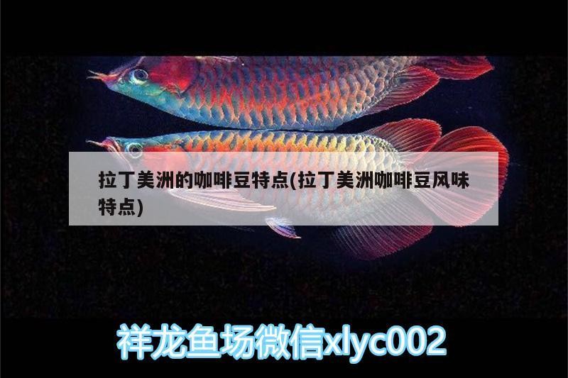 拉丁美洲的咖啡豆特點(拉丁美洲咖啡豆風味特點) 拉丁美洲的咖啡豆特點(拉丁美洲咖啡豆風味特點) 馬來西亞咖啡