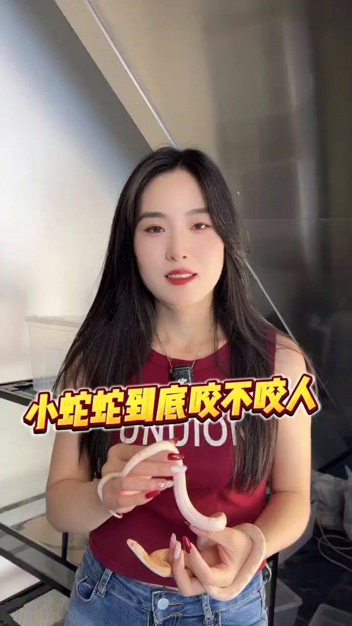 寵物蛇到底咬不咬人