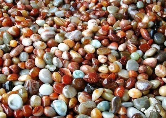 哪里批發魚缸比較便宜又好