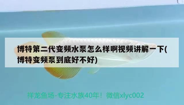 博特第二代變頻水泵怎么樣啊視頻講解一下(博特變頻泵到底好不好)