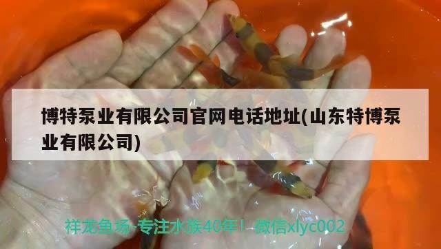 博特泵業有限公司官網電話地址(山東特博泵業有限公司)