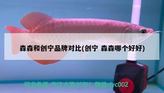 森森和創寧品牌對比(創寧森森哪個好好)