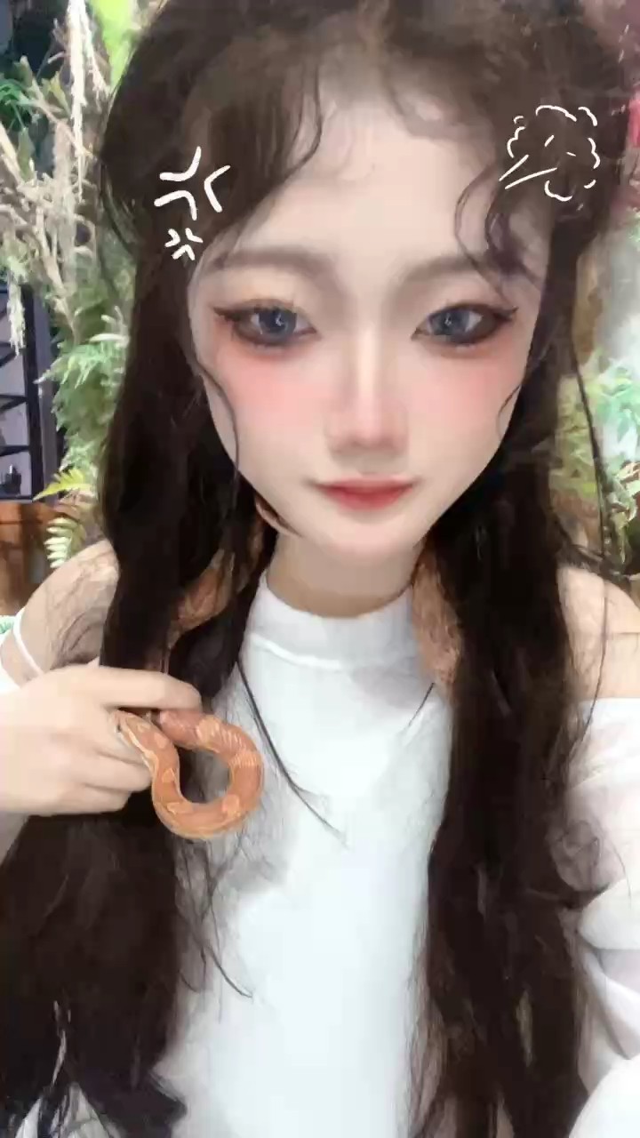 飼養(yǎng)的寵物蛇低價(jià)出