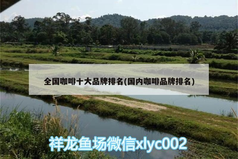 全國咖啡十大品牌排名(國內(nèi)咖啡品牌排名)
