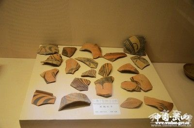 天水龍魚vs祥龍魚場（天水龍魚與祥龍魚場的區(qū)別）