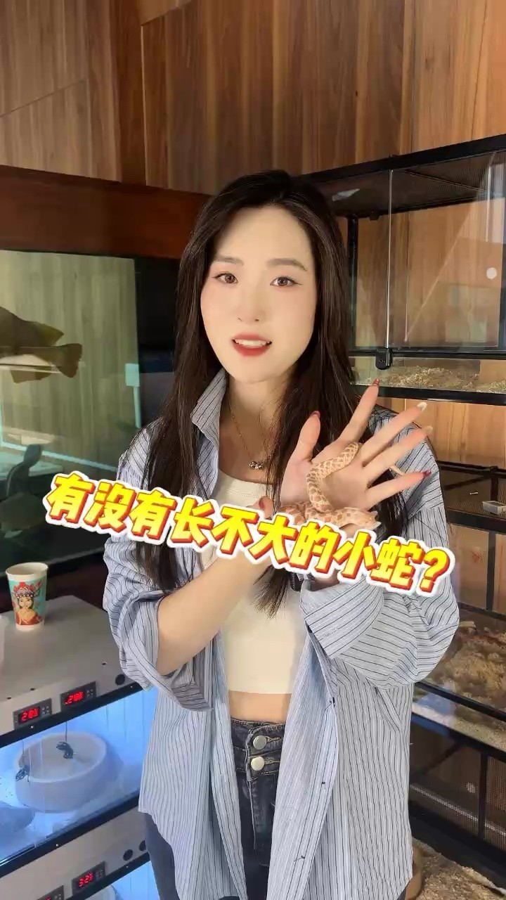 有沒有長不大的小蛇