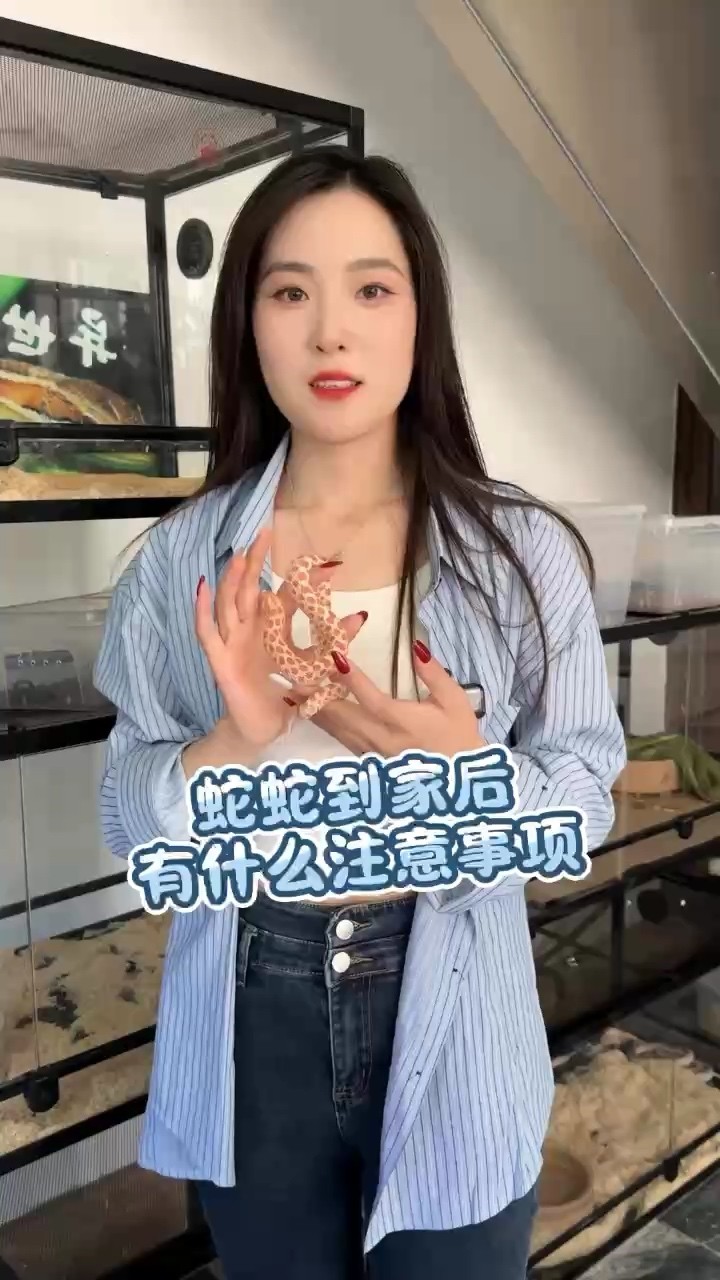 蛇到家后有什么注意事項
