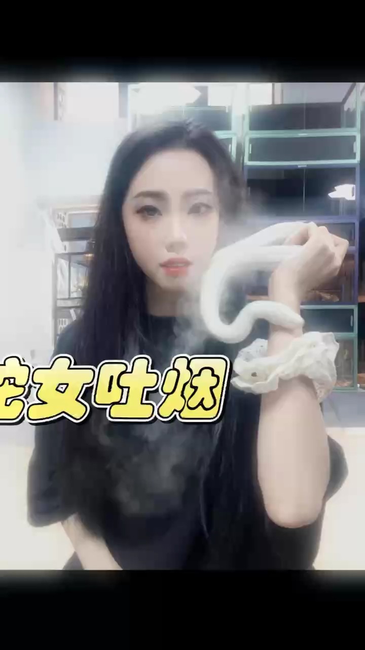 寵物蛇白娘娘特價出
