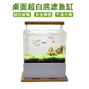 白底白背景魚缸養什么魚好:如何選擇適合白底白背景的魚缸?