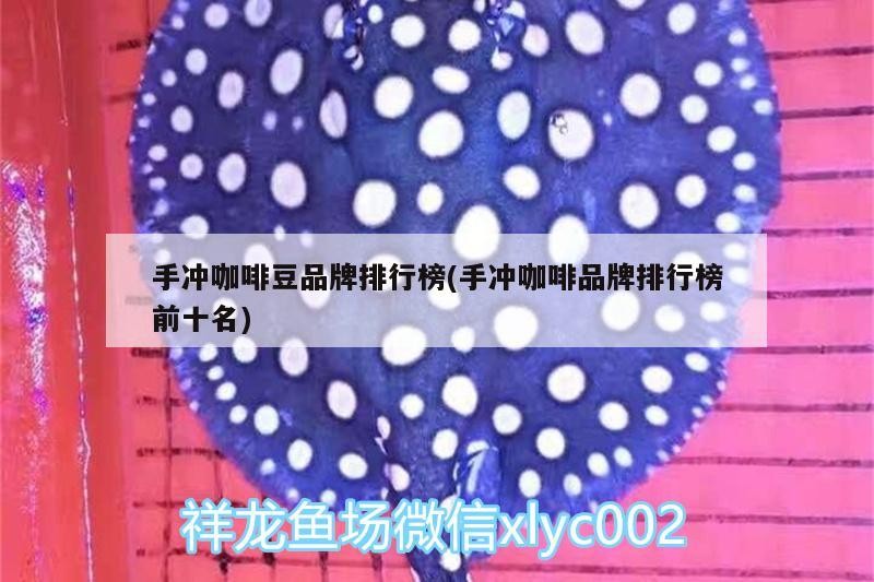 手沖咖啡豆品牌排行榜(手沖咖啡品牌排行榜前十名) 手沖咖啡豆品牌排行榜(手沖咖啡品牌排行榜前十名) 馬來西亞咖啡