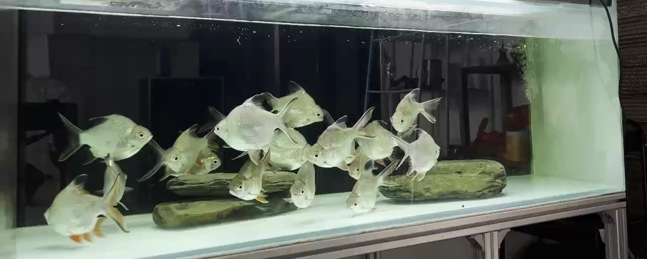 打卡上班