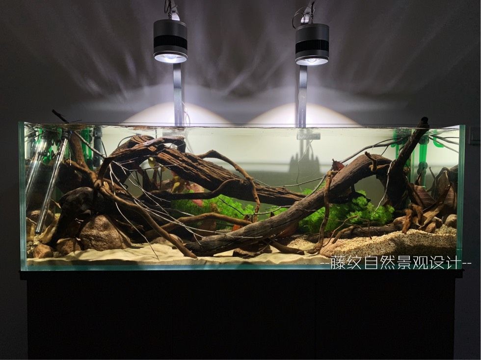 60公分魚缸造景多少錢一平方：60公分魚缸造景多少錢一平方\