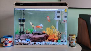 老魚匠氧氣泵維修（老魚匠氧氣泵維修有多少反饋進水）