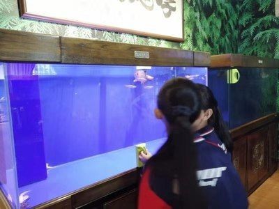 湖州龍魚vs祥龍魚場（湖州龍魚和祥龍魚場）
